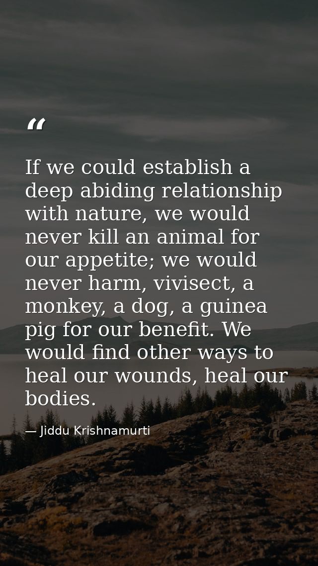 If we could establish a deep abiding relationship with nature, we would never kill an animal for our appetite; we would  — Jiddu Krishnamurti