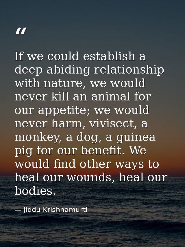 If we could establish a deep abiding relationship with nature, we would never kill an animal for our appetite; we would  — Jiddu Krishnamurti