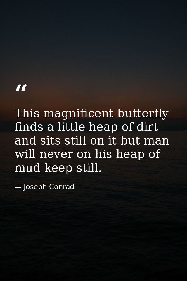 This magnificent butterfly finds a little heap of dirt and sits still on it but man will never on his heap of mud keep s — Joseph Conrad