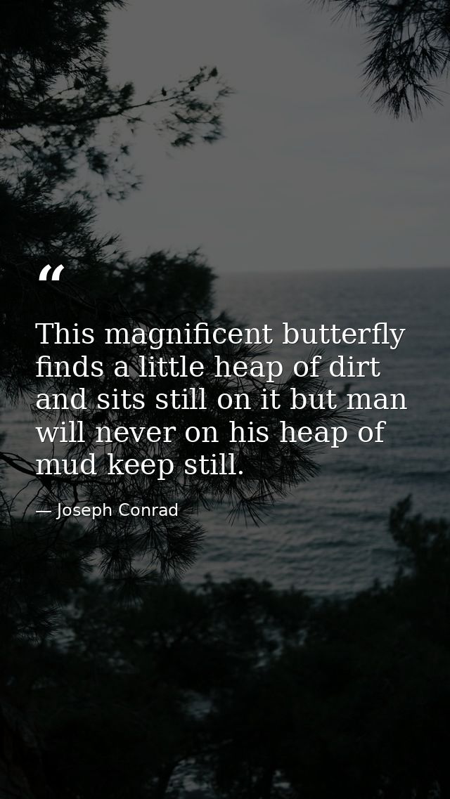This magnificent butterfly finds a little heap of dirt and sits still on it but man will never on his heap of mud keep s — Joseph Conrad