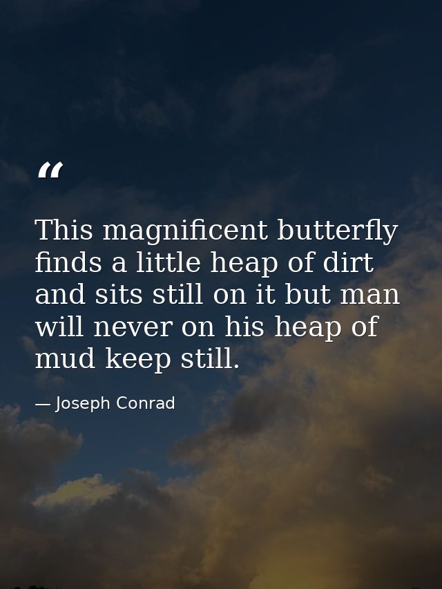 This magnificent butterfly finds a little heap of dirt and sits still on it but man will never on his heap of mud keep s — Joseph Conrad