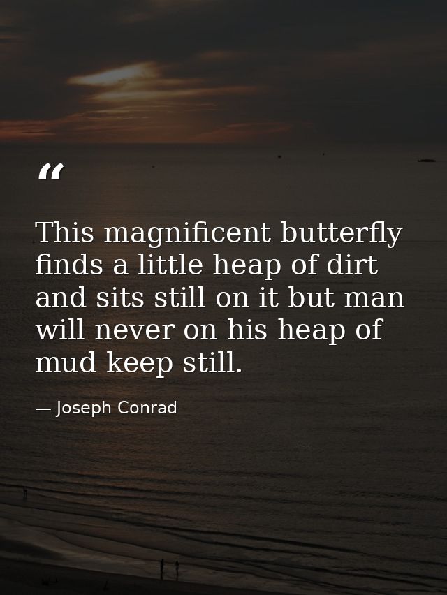 This magnificent butterfly finds a little heap of dirt and sits still on it but man will never on his heap of mud keep s — Joseph Conrad