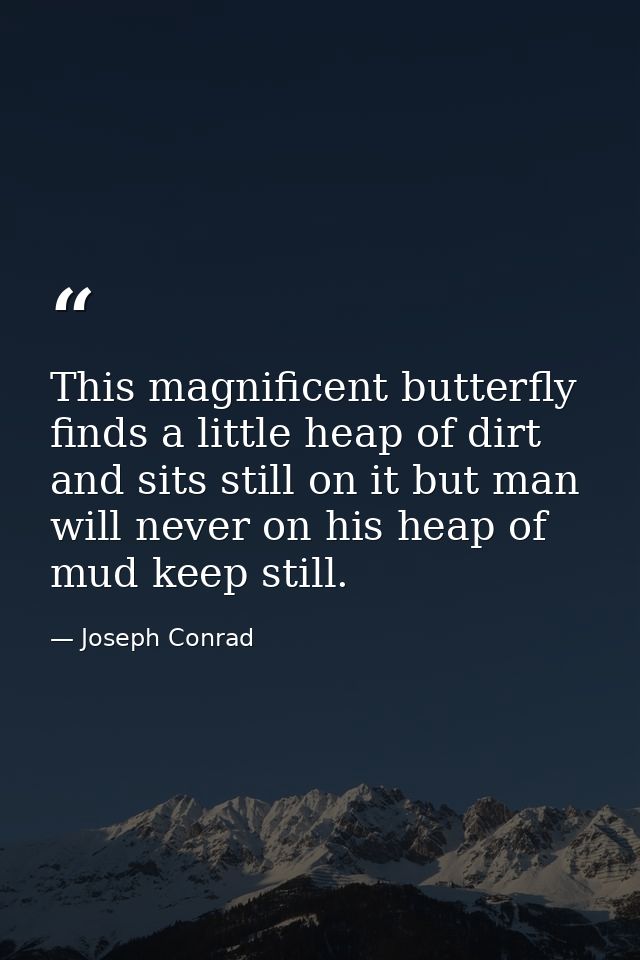 This magnificent butterfly finds a little heap of dirt and sits still on it but man will never on his heap of mud keep s — Joseph Conrad