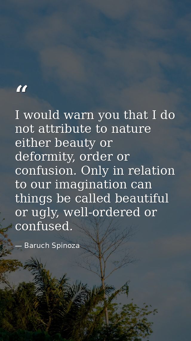 I would warn you that I do not attribute to nature either beauty or deformity, order or confusion. Only in relation to o — Baruch Spinoza
