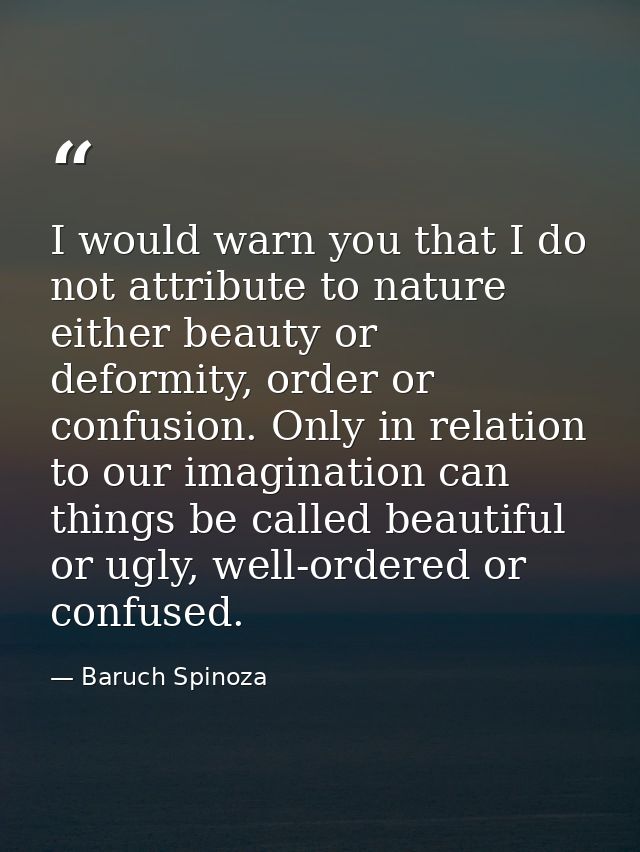 I would warn you that I do not attribute to nature either beauty or deformity, order or confusion. Only in relation to o — Baruch Spinoza