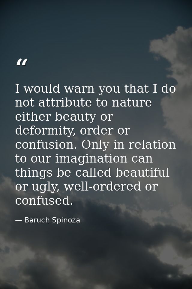I would warn you that I do not attribute to nature either beauty or deformity, order or confusion. Only in relation to o — Baruch Spinoza