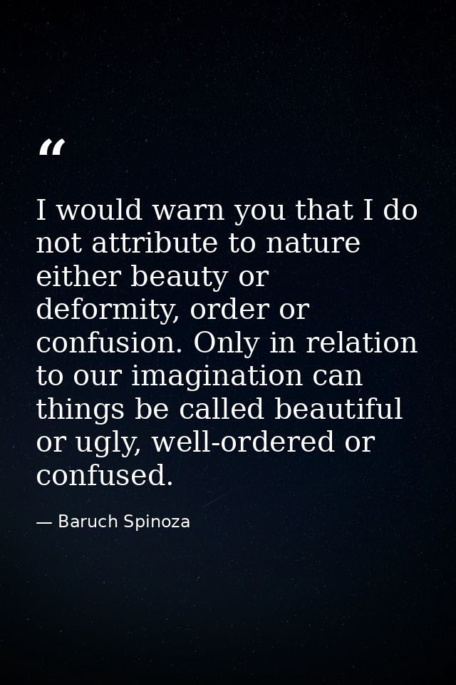 I would warn you that I do not attribute to nature either beauty or deformity, order or confusion. Only in relation to o — Baruch Spinoza