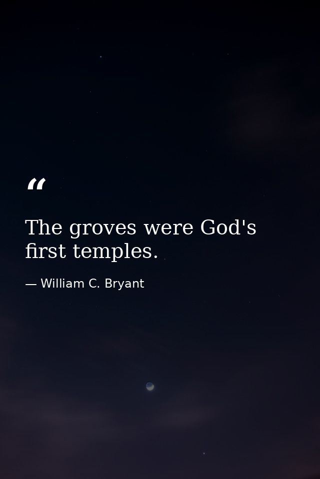 The groves were God's first temples. — William C. Bryant