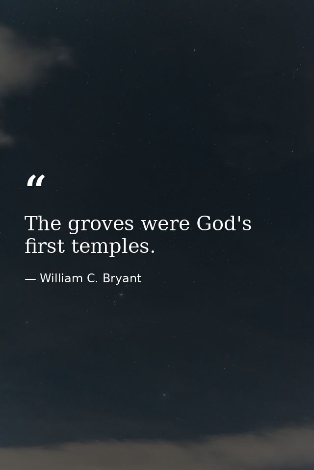 The groves were God's first temples. — William C. Bryant