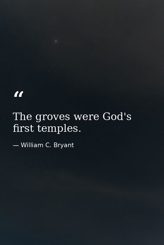 The groves were God's first temples. — William C. Bryant