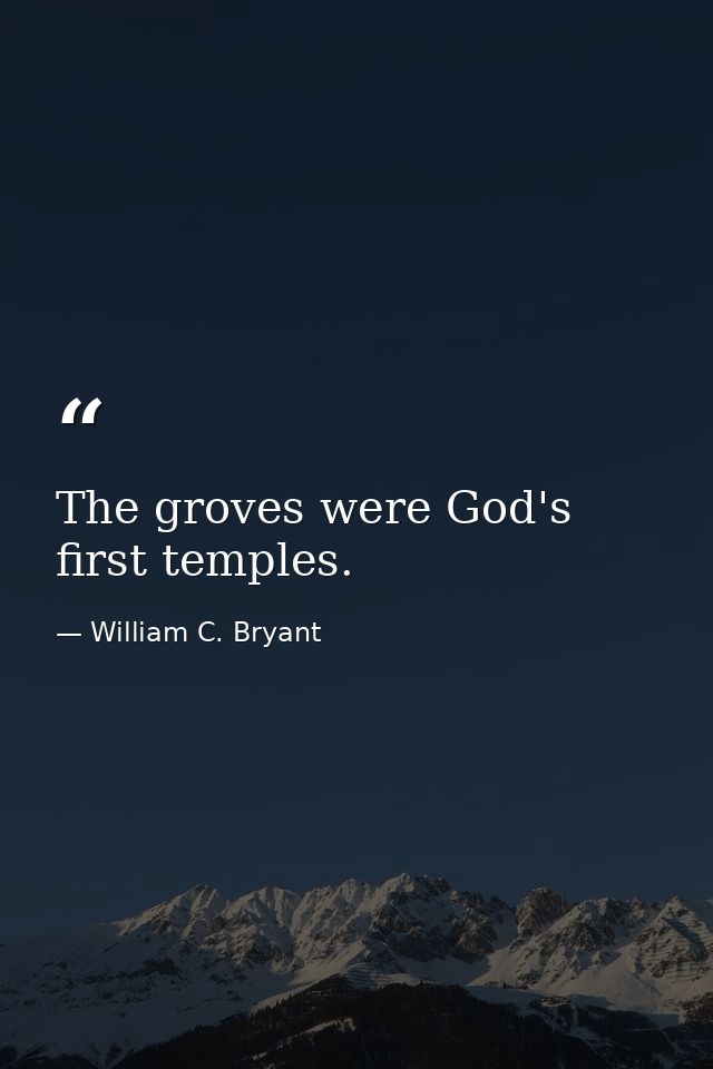 The groves were God's first temples. — William C. Bryant