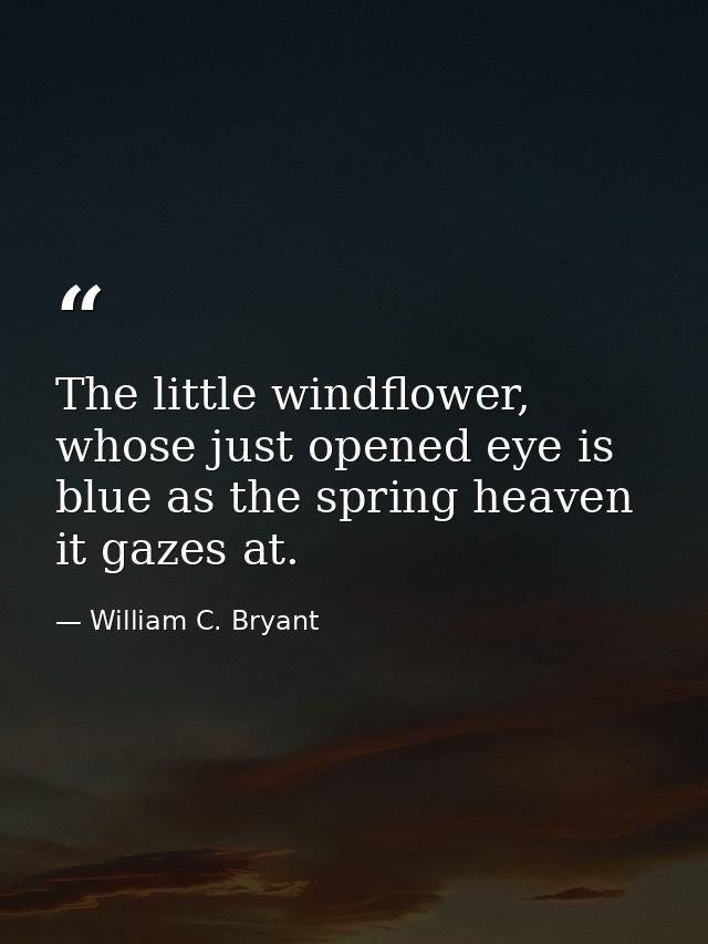 The little windflower, whose just opened eye is blue as the spring heaven it gazes at. — William C. Bryant