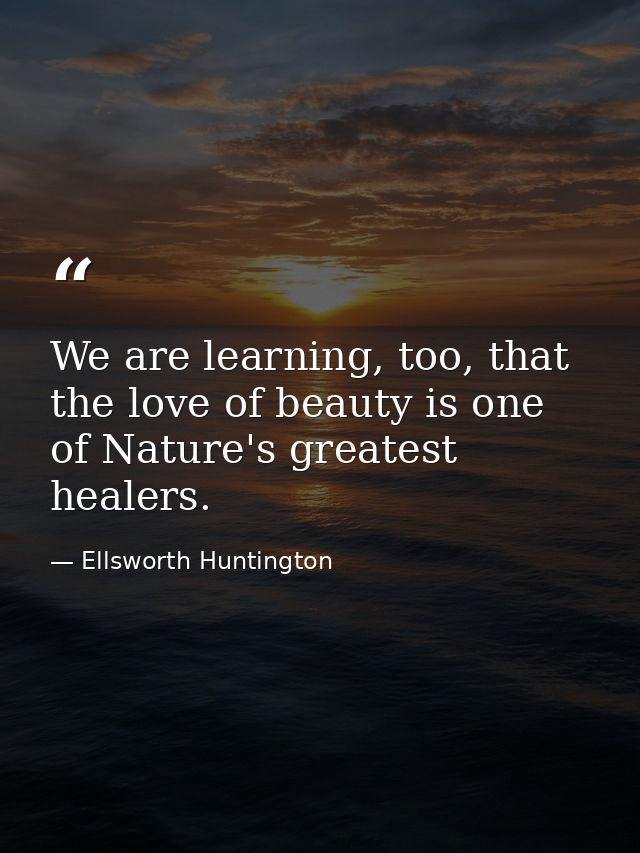 We are learning, too, that the love of beauty is one of Nature's greatest healers. — Ellsworth Huntington