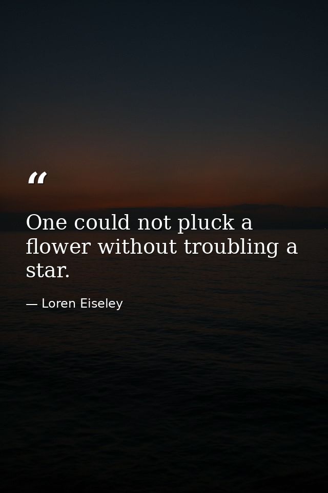 One could not pluck a flower without troubling a star. — Loren Eiseley