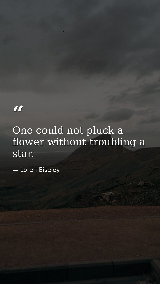 One could not pluck a flower without troubling a star. — Loren Eiseley
