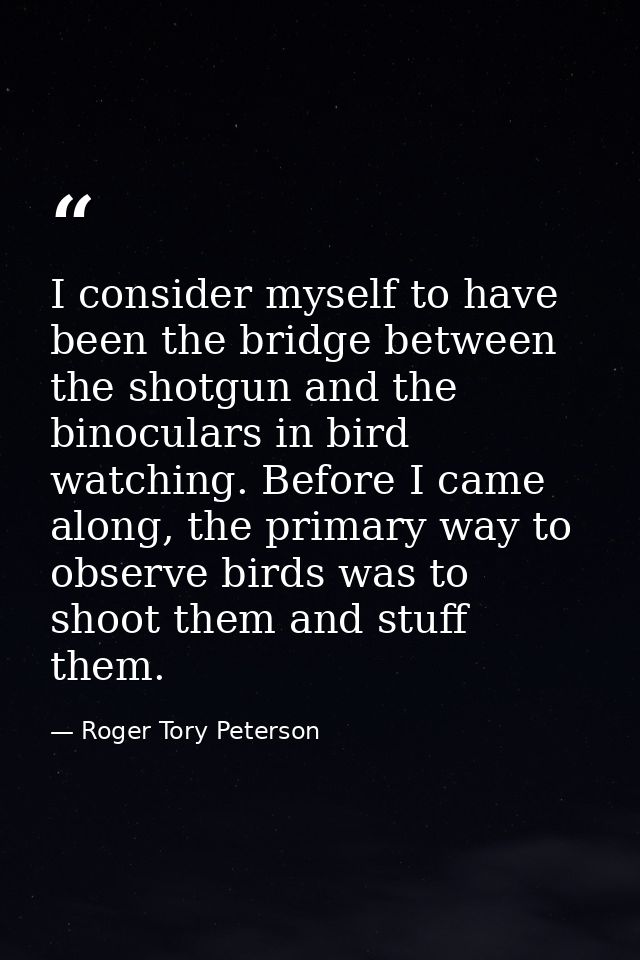 I consider myself to have been the bridge between the shotgun and the binoculars in bird watching. Before I came along,  — Roger Tory Peterson