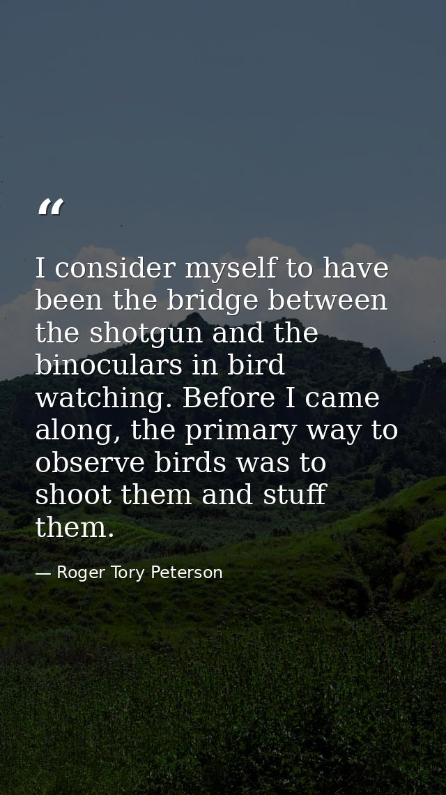 I consider myself to have been the bridge between the shotgun and the binoculars in bird watching. Before I came along,  — Roger Tory Peterson