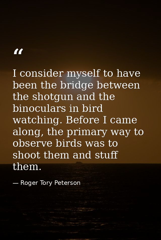 I consider myself to have been the bridge between the shotgun and the binoculars in bird watching. Before I came along,  — Roger Tory Peterson