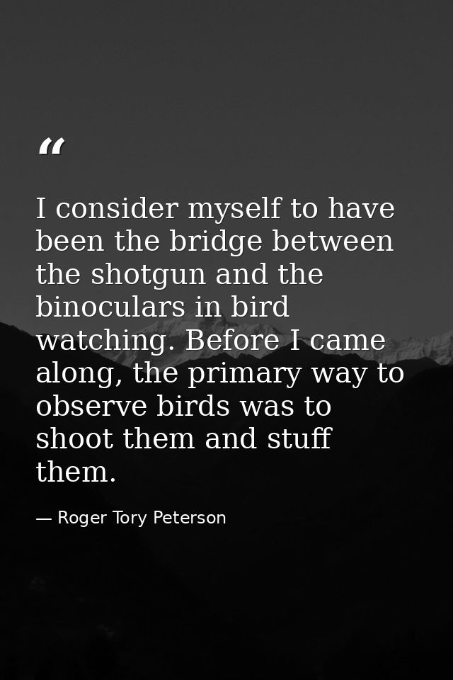 I consider myself to have been the bridge between the shotgun and the binoculars in bird watching. Before I came along,  — Roger Tory Peterson
