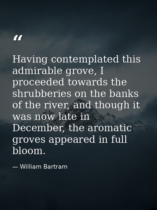 Having contemplated this admirable grove, I proceeded towards the shrubberies on the banks of the river, and though it w — William Bartram