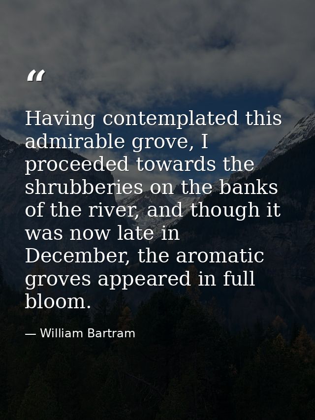 Having contemplated this admirable grove, I proceeded towards the shrubberies on the banks of the river, and though it w — William Bartram