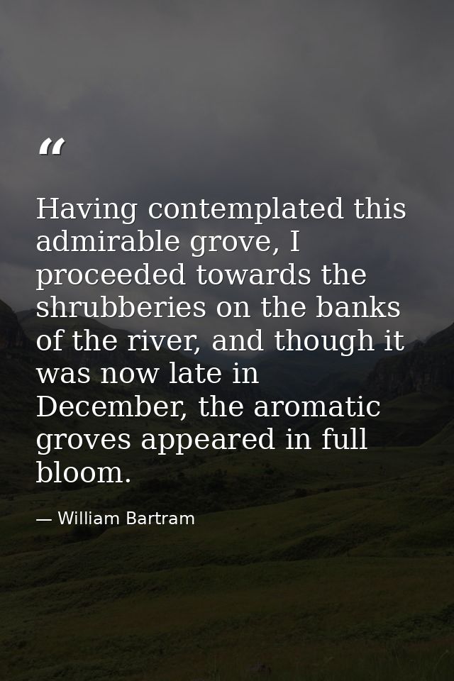 Having contemplated this admirable grove, I proceeded towards the shrubberies on the banks of the river, and though it w — William Bartram
