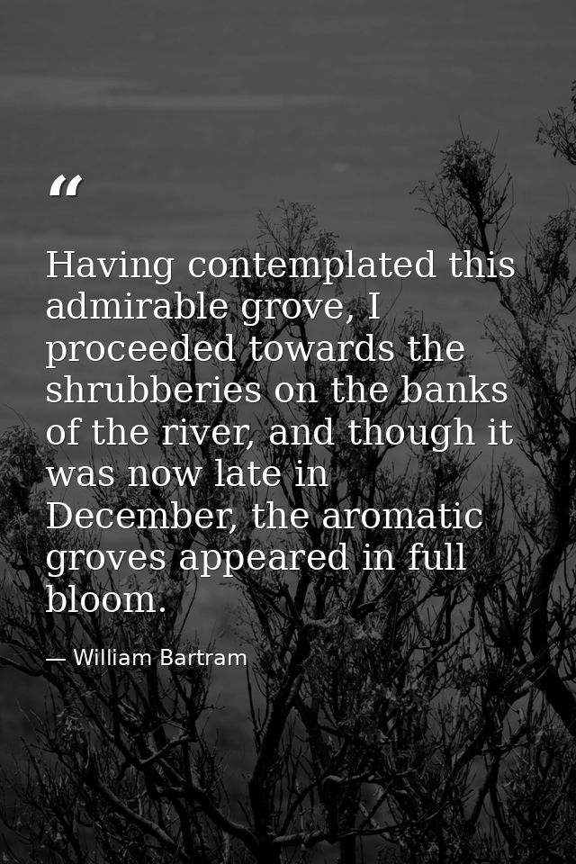 Having contemplated this admirable grove, I proceeded towards the shrubberies on the banks of the river, and though it w — William Bartram