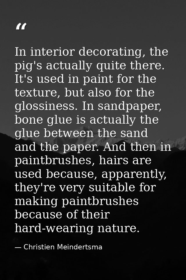 In interior decorating, the pig's actually quite there. It's used in paint for the texture, but also for the glossiness. — Christien Meindertsma