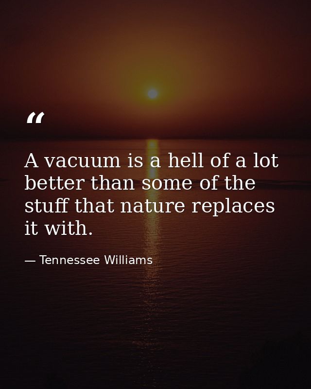 A vacuum is a hell of a lot better than some of the stuff that nature replaces it with. — Tennessee Williams
