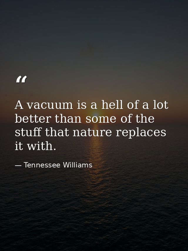 A vacuum is a hell of a lot better than some of the stuff that nature replaces it with. — Tennessee Williams