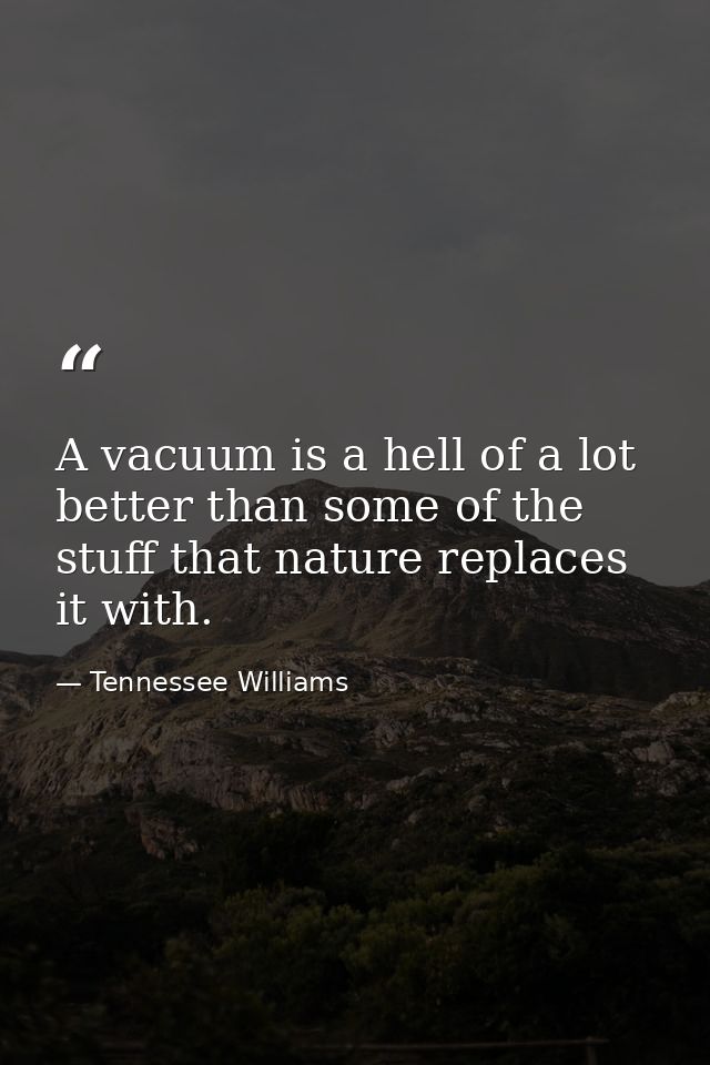A vacuum is a hell of a lot better than some of the stuff that nature replaces it with. — Tennessee Williams