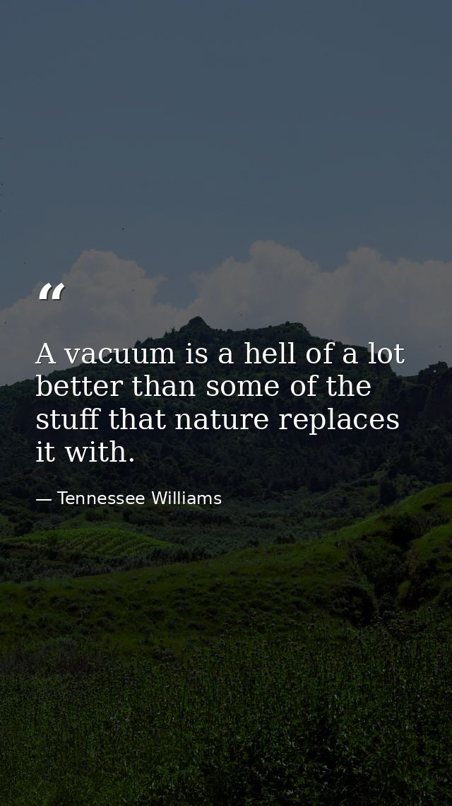 A vacuum is a hell of a lot better than some of the stuff that nature replaces it with. — Tennessee Williams