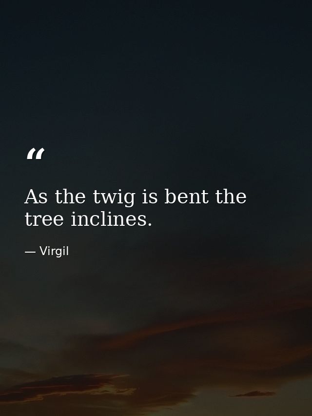 As the twig is bent the tree inclines. — Virgil
