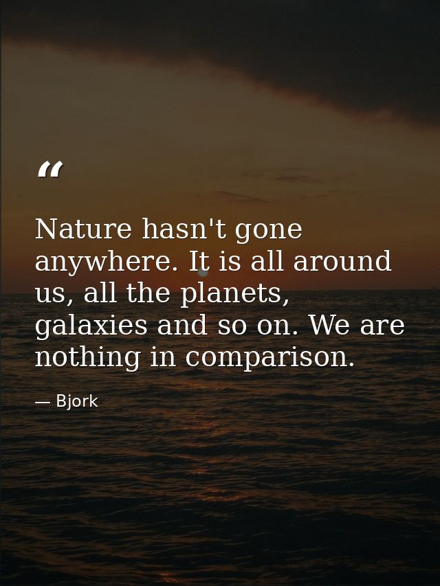 Nature hasn't gone anywhere. It is all around us, all the planets, galaxies and so on. We are nothing in comparison. — Bjork