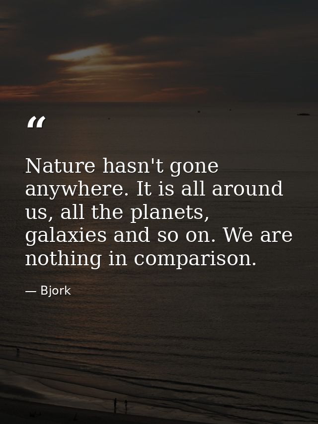 Nature hasn't gone anywhere. It is all around us, all the planets, galaxies and so on. We are nothing in comparison. — Bjork