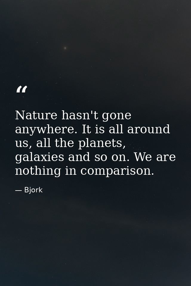 Nature hasn't gone anywhere. It is all around us, all the planets, galaxies and so on. We are nothing in comparison. — Bjork