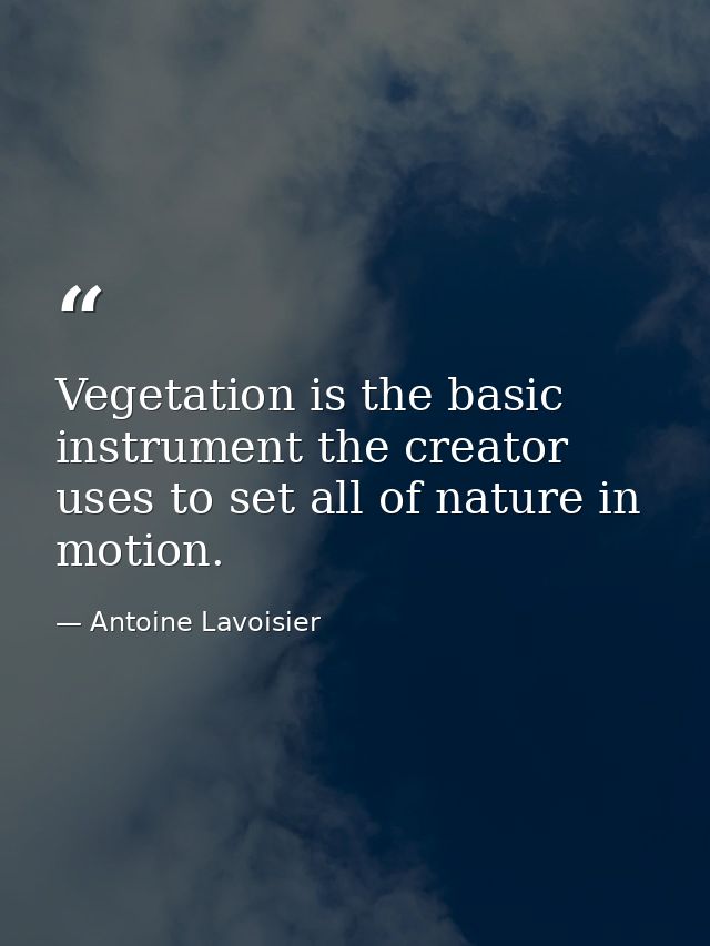Vegetation is the basic instrument the creator uses to set all of nature in motion. — Antoine Lavoisier