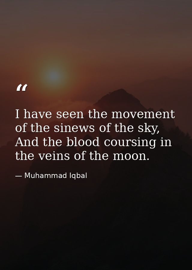 I have seen the movement of the sinews of the sky, And the blood coursing in the veins of the moon. — Muhammad Iqbal