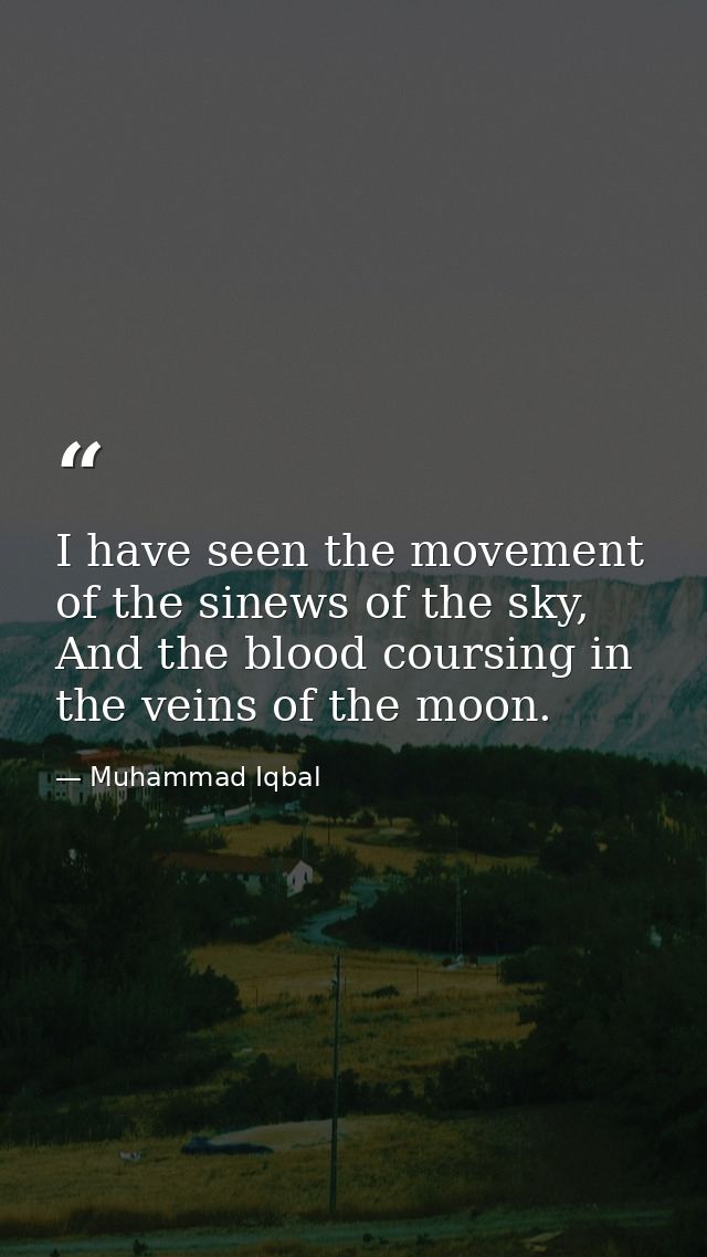 I have seen the movement of the sinews of the sky, And the blood coursing in the veins of the moon. — Muhammad Iqbal