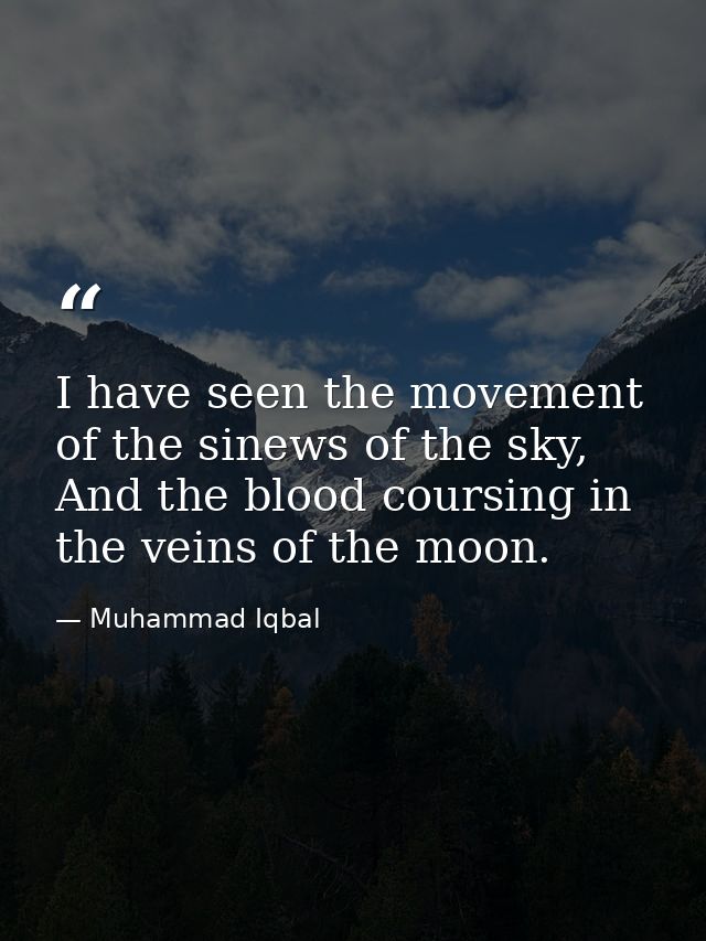 I have seen the movement of the sinews of the sky, And the blood coursing in the veins of the moon. — Muhammad Iqbal