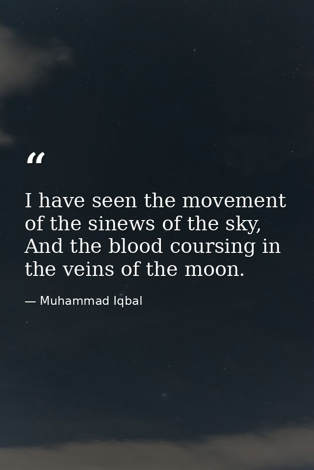 I have seen the movement of the sinews of the sky, And the blood coursing in the veins of the moon. — Muhammad Iqbal