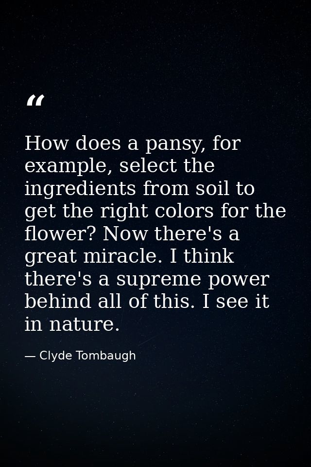 How does a pansy, for example, select the ingredients from soil to get the right colors for the flower? Now there's a gr — Clyde Tombaugh