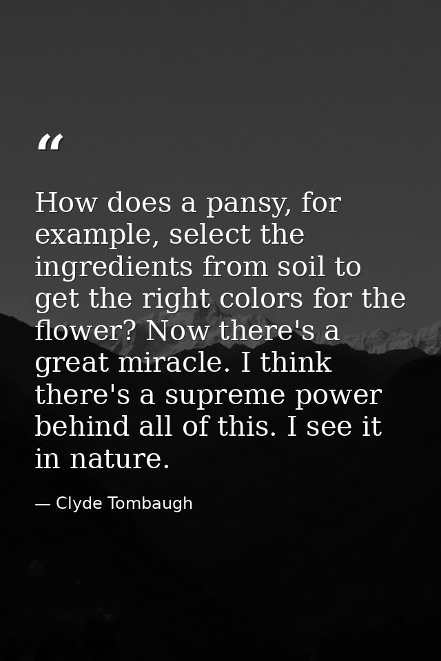 How does a pansy, for example, select the ingredients from soil to get the right colors for the flower? Now there's a gr — Clyde Tombaugh