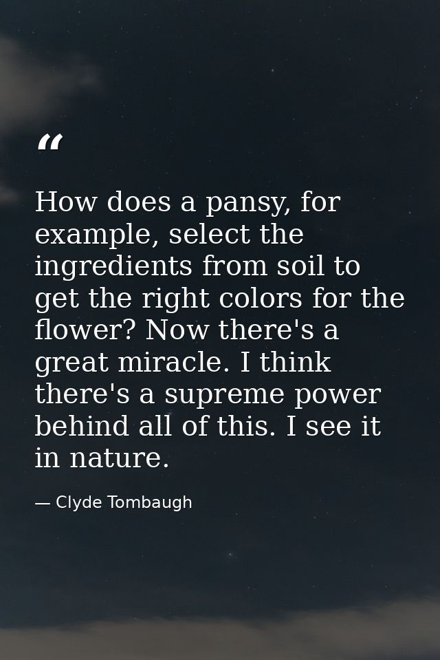 How does a pansy, for example, select the ingredients from soil to get the right colors for the flower? Now there's a gr — Clyde Tombaugh
