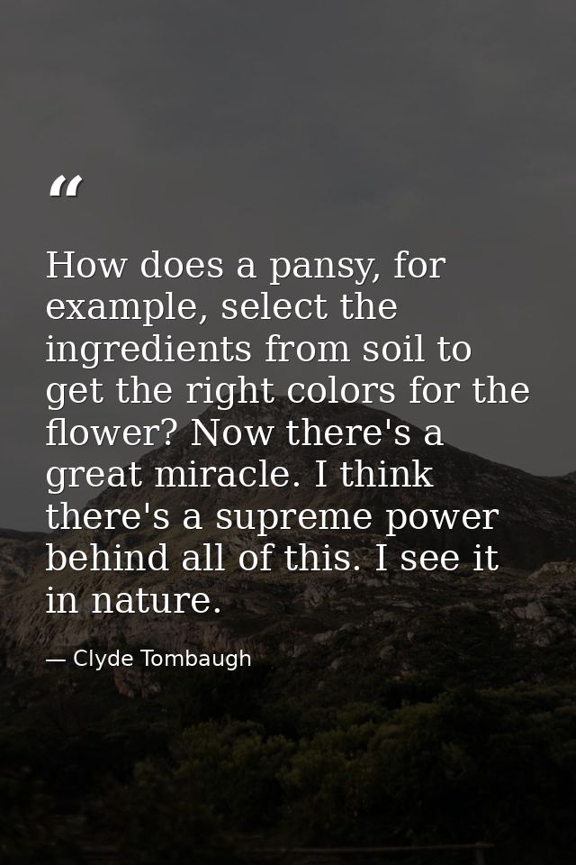 How does a pansy, for example, select the ingredients from soil to get the right colors for the flower? Now there's a gr — Clyde Tombaugh