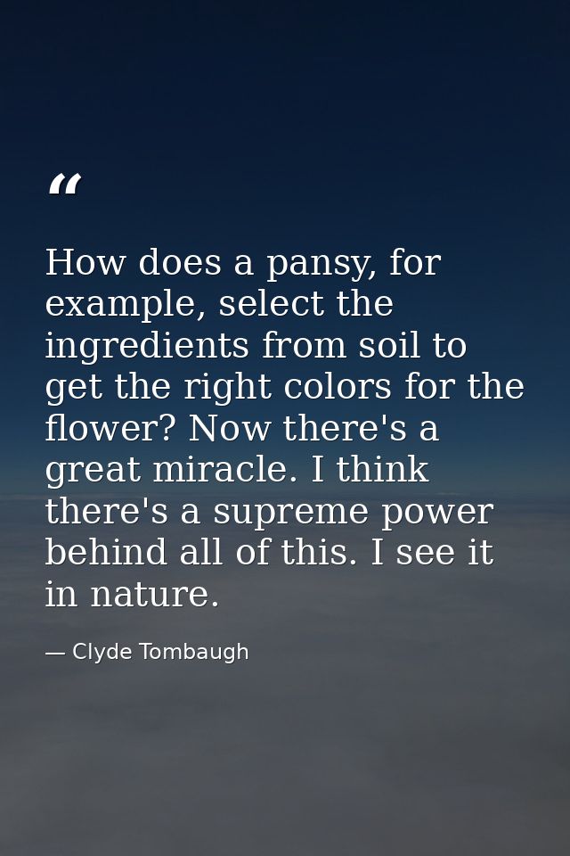 How does a pansy, for example, select the ingredients from soil to get the right colors for the flower? Now there's a gr — Clyde Tombaugh