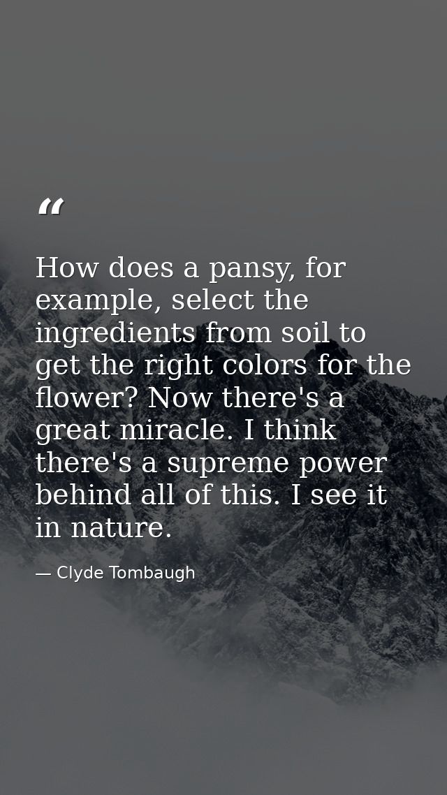 How does a pansy, for example, select the ingredients from soil to get the right colors for the flower? Now there's a gr — Clyde Tombaugh