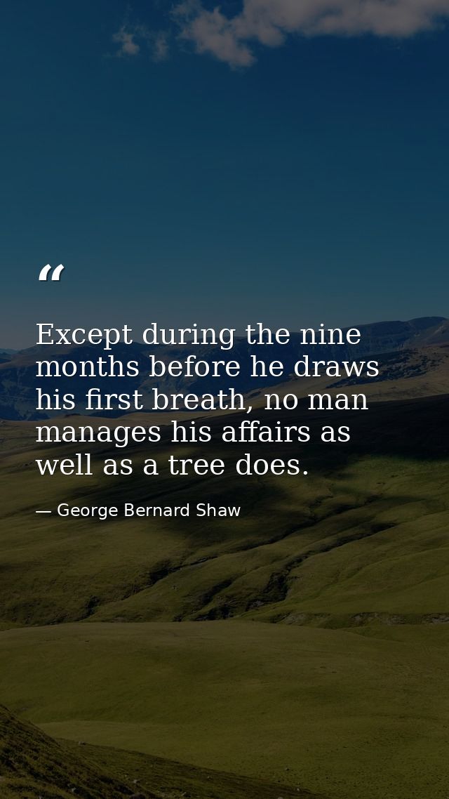Except during the nine months before he draws his first breath, no man manages his affairs as well as a tree does. — George Bernard Shaw