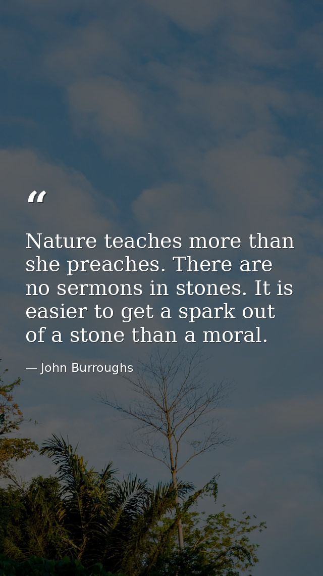 Nature teaches more than she preaches. There are no sermons in stones. It is easier to get a spark out of a stone than a — John Burroughs