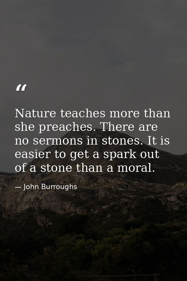 Nature teaches more than she preaches. There are no sermons in stones. It is easier to get a spark out of a stone than a — John Burroughs
